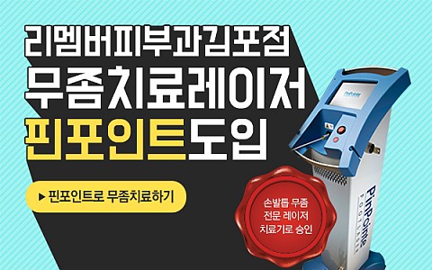 핀포인트도입 